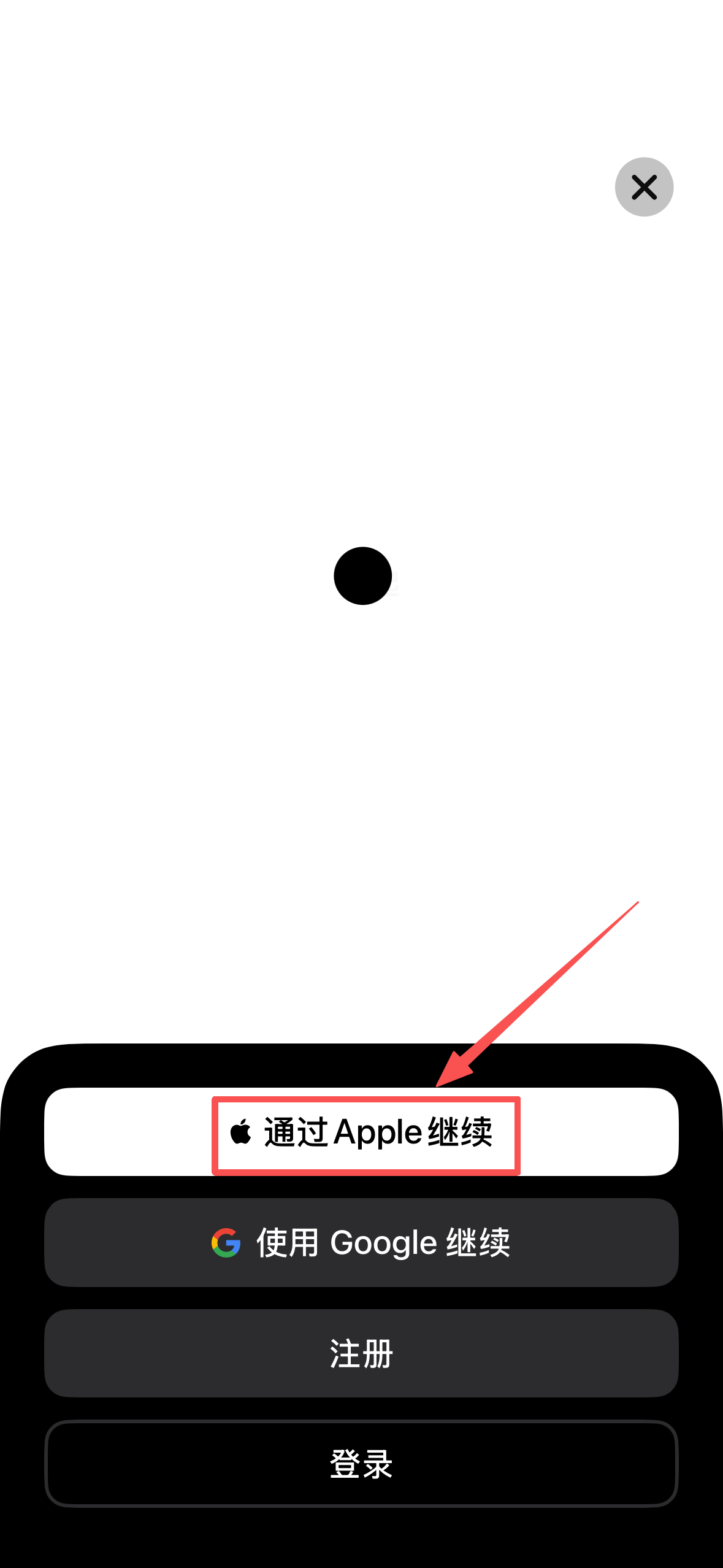 ChatGPT App 通过 Apple 继续